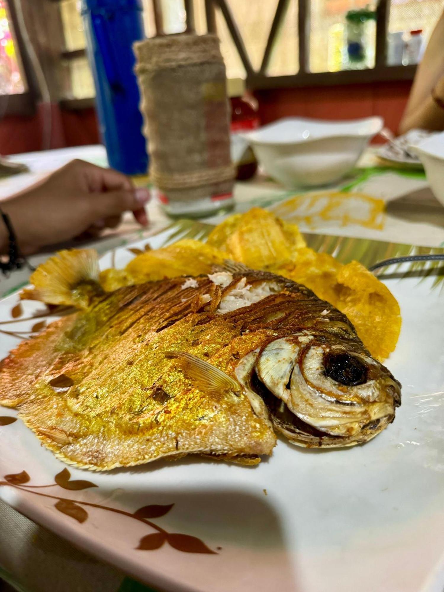 Maiku Amazonas Hotell Puerto Nariño Eksteriør bilde